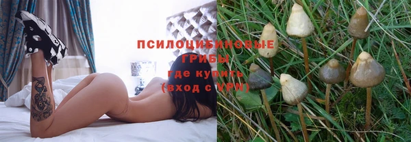 гидропоника Армянск
